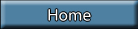 home button